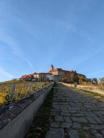 PXL_20211109_140056144.jpg