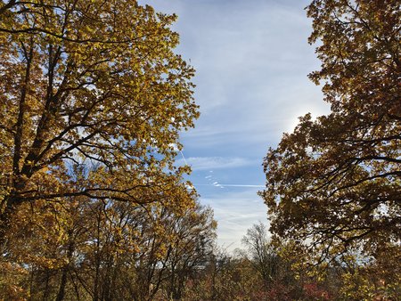 IMG_20211031_113619.jpg