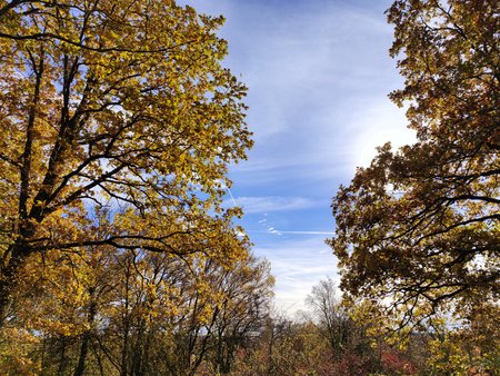 IMG_20211031_113623.jpg