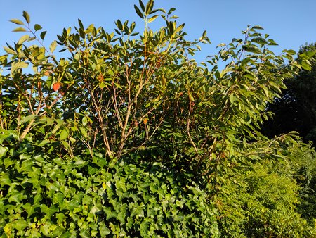 IMG20210908175202.jpg