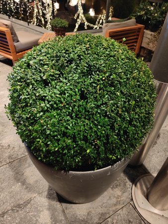 IMG20211116202649.jpg