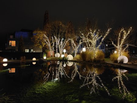 IMG20211116195946.jpg