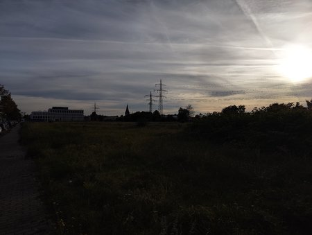 IMG_20211017_171052.jpg