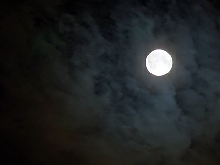 PXL_20211119_201359505.NIGHT.jpg