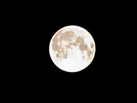PXL_20211119_201431313.NIGHT~2.jpg
