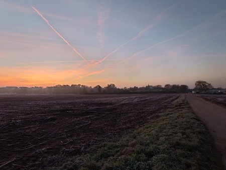 20211111_072555.JPG