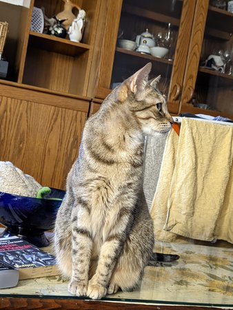 20112021_195116.RizGrt LMC 2.0.jpg