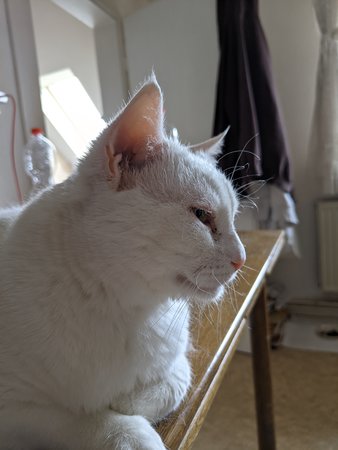 20112021_140350.RizGrt LMC 2.0.jpg