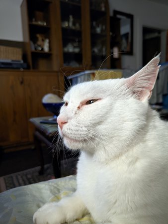 20112021_194635.RizGrt LMC 2.0.jpg