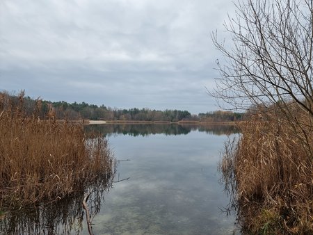 20211127_124440.jpg