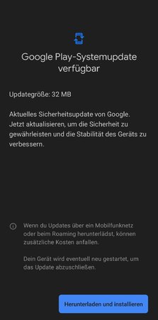 Screenshot_20211130-112513_Google Play Store.jpg