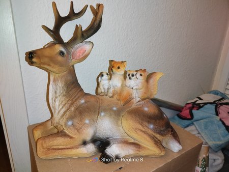 IMG20211203184933.jpg