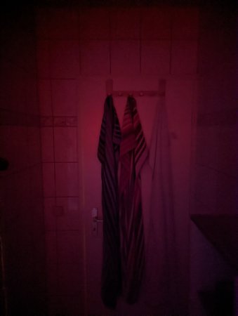 PXL_20211206_070012508.jpg