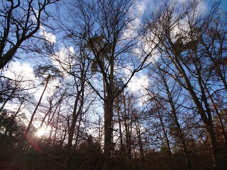 20211207_140253_Bilqualität.JPG