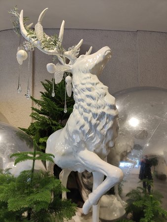 IMG20211207203738.jpg