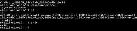Root.jpg