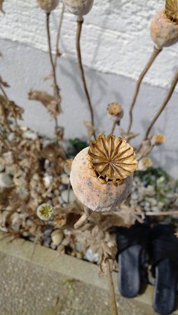 IMG_20120815_144623.jpg