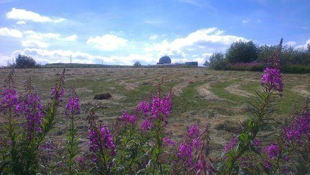 Wasserkuppe1.jpg