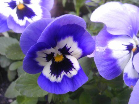 IMAG0018.jpg