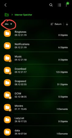 Screenshot_20211209-212814_My Files.jpg