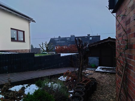 20211209_080609.jpg