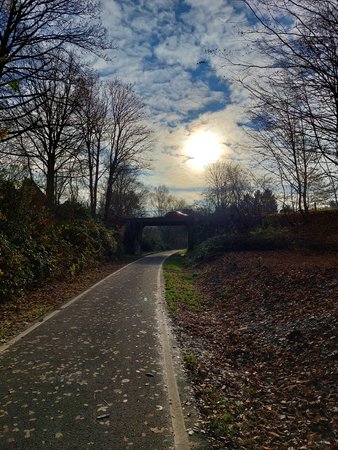 20211128_114115.jpg