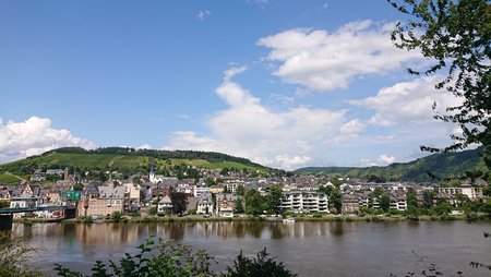 DSC_1002 1.JPG
