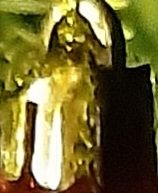 20211213_215110.jpg