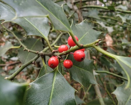 20211214_132614-01.jpeg
