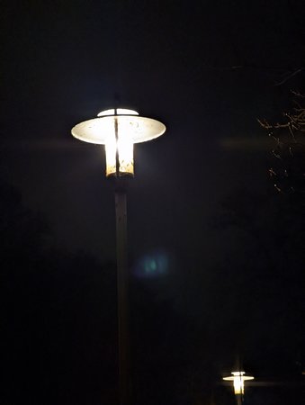 PXL_20211214_191154477.jpg