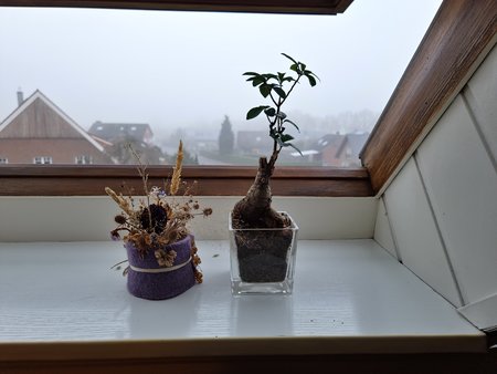 20211216_125015.jpg