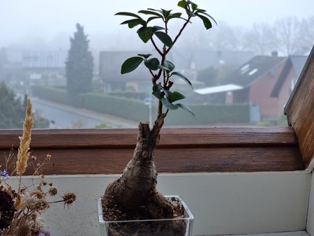 20211216_125029.jpg