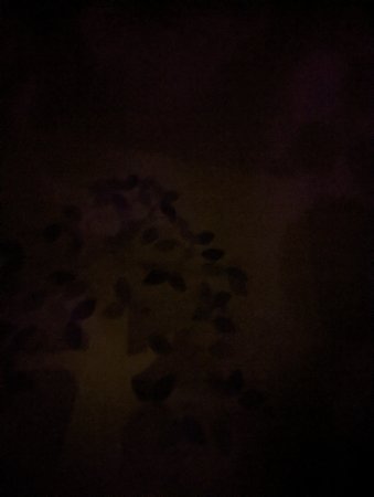 PXL_20211217_164519424.jpg