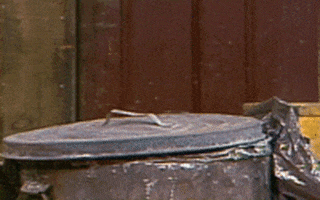 200.gif