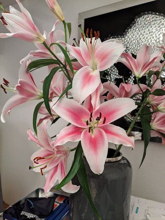 IMG_20211219_203804.jpg