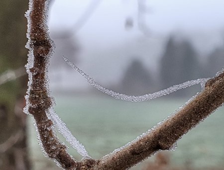 20211221_153548(0)-01.jpeg