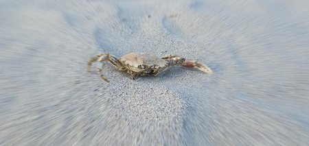20190430_163307.jpg
