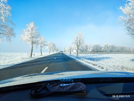 IMG_20211226_111117.jpg