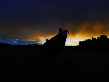 IMG_20211228_162720.jpg