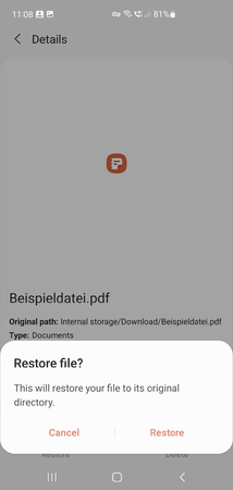 Screenshot_20211229-110848_File Guardian.png