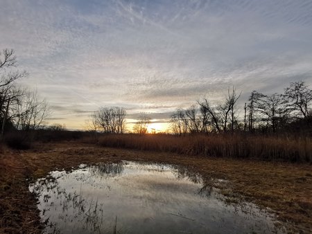 IMG_20211230_155318.jpg
