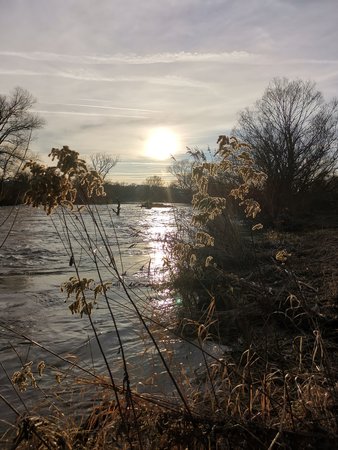 IMG_20220101_151018.jpg