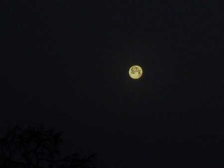 20211220_081159.jpg