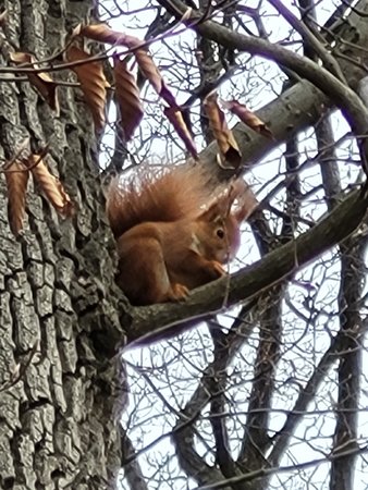 20220108_100308.jpg