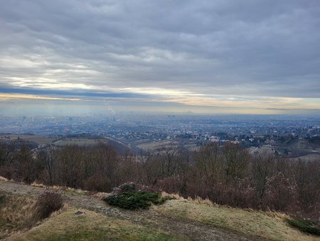 20220108_100507.jpg