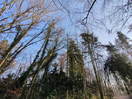 IMG20220110110300.jpg