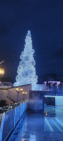 IMG_20220111_071601.jpg