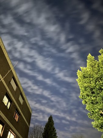 91001B05-C7B9-4A83-8804-DE5DC23B375E.jpeg