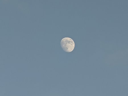 PXL_20220114_145248345.jpg