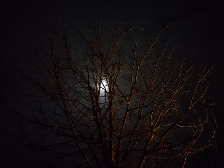 IMG_20220116_213605934.jpg